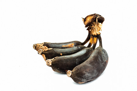Rotten banana on white backgroundの写真素材