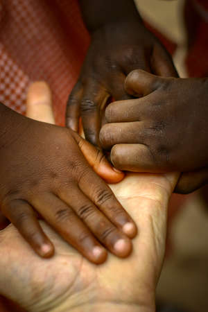 White adult hand holding black children's handsの写真素材