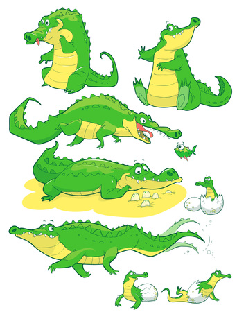 Cartoon funny friendly alligators crocodilesのイラスト素材