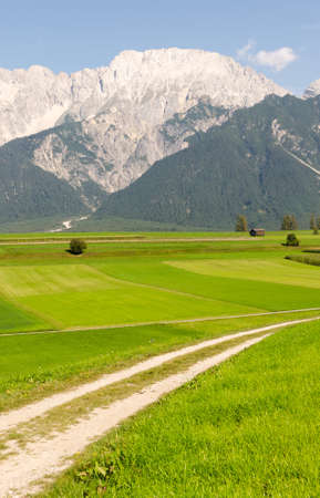 On the Mieminger Plateau, Tyrolの写真素材