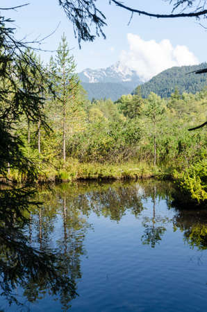 Bodies of water near Seefeld, Tyrol. reflections in the waterの写真素材