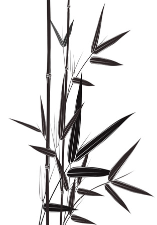 black bamboo stems on white background vector illustrationのイラスト素材