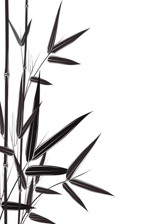 bamboo stems on white background vector illustrationのイラスト素材