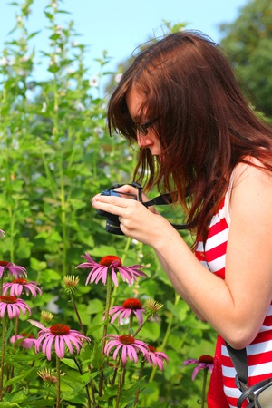 Young woman photographing echinecea flowers in a perennial garden.の写真素材