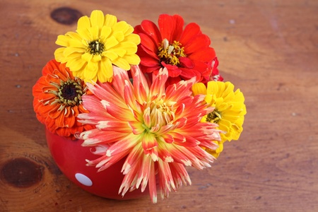 Homegrown fall garden flowers in a bright red dish, on a wooden table.の写真素材