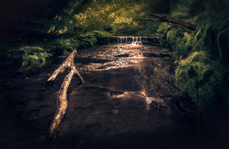 Log on creek waterfalls in distanceの写真素材