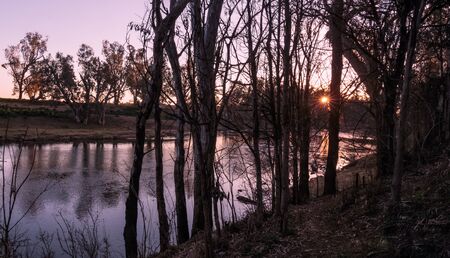 Sunrise through trees on river bankの写真素材