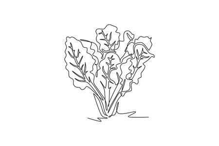 Continuous one line drawing group pile of healthy organic swiss chard for farm logo identity. Fresh leafy spinach beet concept for vegetable icon. Single line draw design vector graphic illustrationのイラスト素材