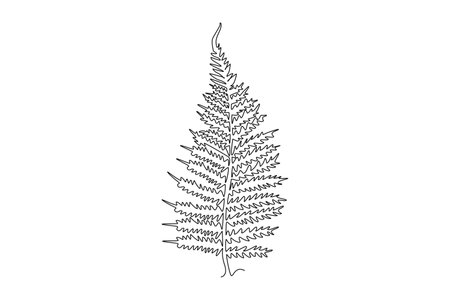 Single one line drawing tropical leaf fern plant. Printable poster decorative houseplant concept for home wall decor wallpaper ornament. Modern continuous line draw design graphic vector illustrationのイラスト素材