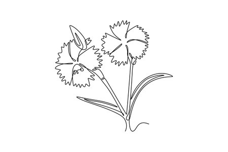 Single one line drawing of beauty fresh dianthus for home wall decor art poster print. Decorative carnation flower concept for green park icon. Continuous line draw design graphic vector illustrationのイラスト素材