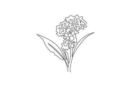Single one line drawing beauty fresh wool flower for home decor wall poster. Printable decorative cockscomb flower for greeting card ornament. Continuous line draw design graphic vector illustrationのイラスト素材