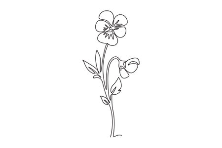 Continuous one line drawing beauty fresh violet hybrid plant for home art wall decor print poster. Printable decorative pansy flower for green park. Single line draw design vector graphic illustrationのイラスト素材