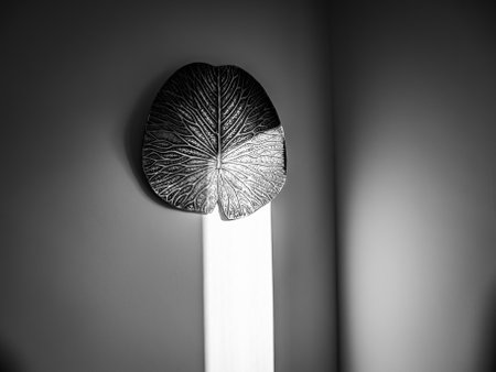 Monochrome wall decoration with beam of lightの写真素材