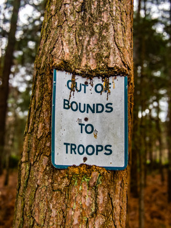 Out of bounds to troops sign on treeの写真素材