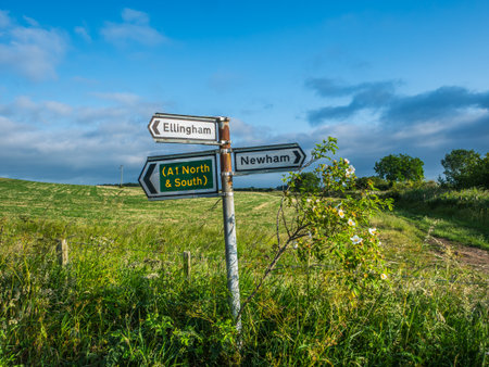 Road side signpost in rural area of Northumberlandの写真素材