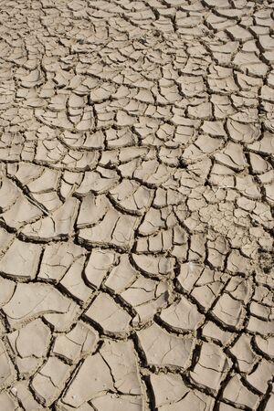 Dried mud on the shore of the Salton Sea in Californiaの写真素材