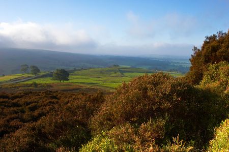 The view from Ramshaw Rocks looking over towards Leek. Three lone trees stand in the foreground. The...