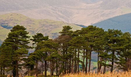 The rugged mountain countryside of Wales in the UK.の写真素材
