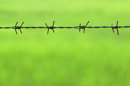 Rusty barb wire on green backgroundの写真素材