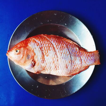 Fresh fish in dishの素材