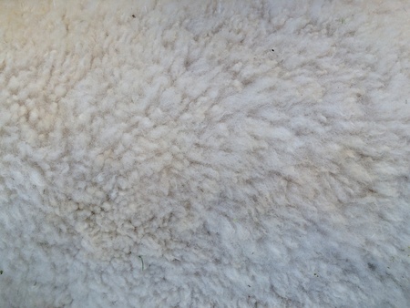 Woolの素材