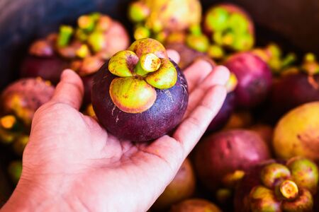 Mangosteen and cross section showing the thick purple skin and white flesh of the queen of fruits, Delicious mangosteen fruit arranged on a bowl, Mangosteen flesh, closeup. Mangosteen.の写真素材