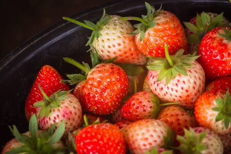 Fresh harvest strawberries background.Fresh organic strawberryの写真素材
