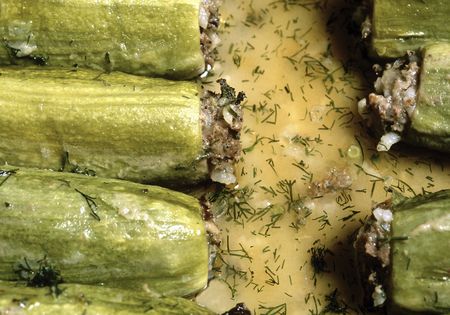 pumpkinの写真素材