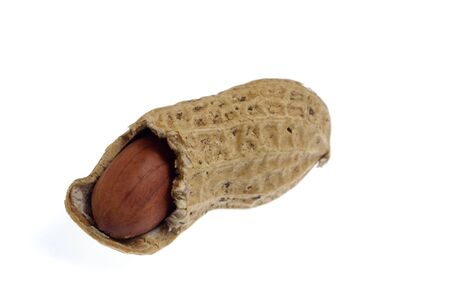 nut on whiteの写真素材
