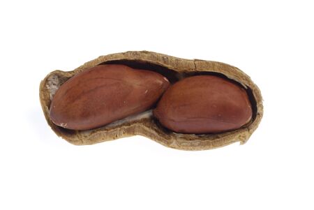 nut on white