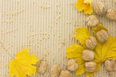 autumn scrapの写真素材