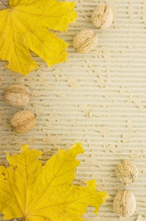 autumn frameの写真素材