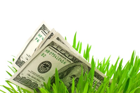 dollars in grass isolated on whiteの写真素材