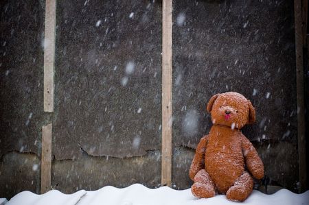 a soft bear old toyの写真素材