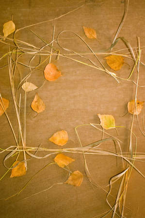 grunge autumn background with yellow leaves