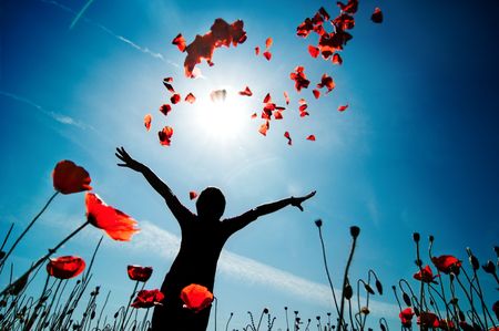 Girl stands in poppy fieldの写真素材