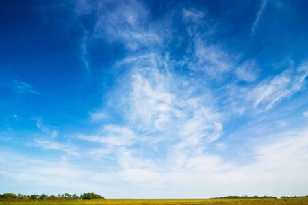 background of cloudy sky and grassの写真素材
