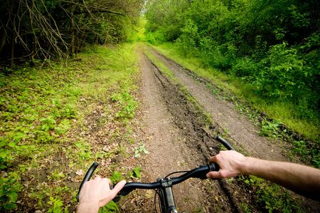 biking on wild forest roadの写真素材