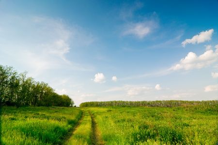background of cloudy sky and grassの写真素材