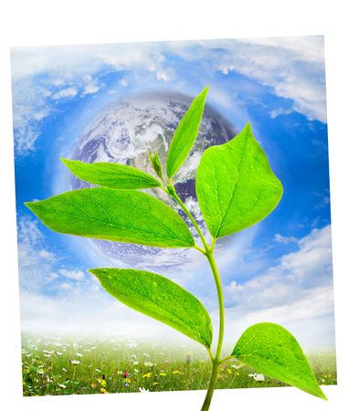 earth globe with green leafの写真素材