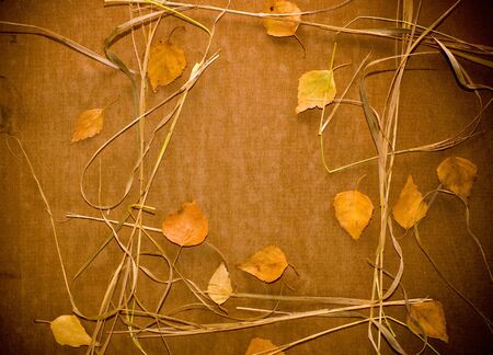 grunge background with dry leavesの写真素材