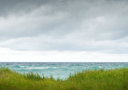 sea coast and grass and cloudy skyの写真素材