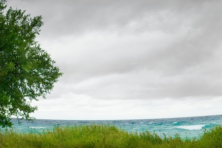 sea coast and grass and cloudy skyの写真素材