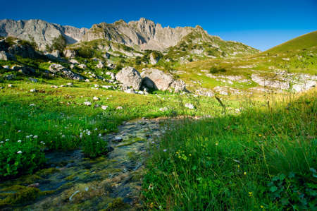 a brook in the mountainの写真素材