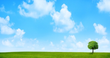 background of cloudy sky and grassの写真素材