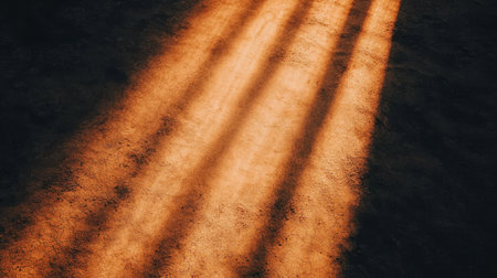 Warm Sunlight Casting Long Shadows on Earthy Ground with Subtle Texture and Natural Patterns Creating a Calm and Reflective Atmosphereの素材