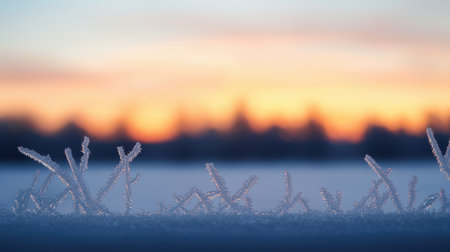 Frosty Winter Landscape with Silvery Ice Crystals on Snowy Ground and Colorful Sunrise in Background, Creating a Serene and Tranquil Sceneの素材
