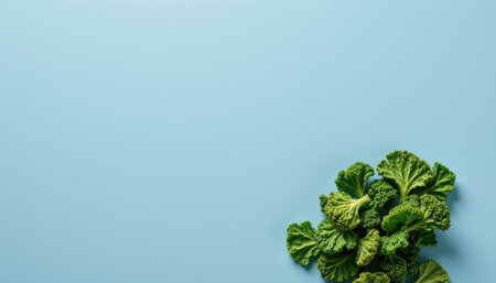 Fresh and Vibrant Green Lettuce Leaves on a Light Blue Background, Perfect for Healthy Cooking and Dietary Lifestyle Imagery, Food Presentationの素材