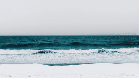 Serene Winter Ocean View with Snowy Beach and Calm Waves Under a Gray Sky in a Quiet Coastal Landscapeの素材