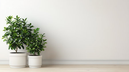 Two lush green indoor plants in elegant white pots against a minimalist light wall, perfect for home decor or office design inspirations and natural aesthetics.の素材